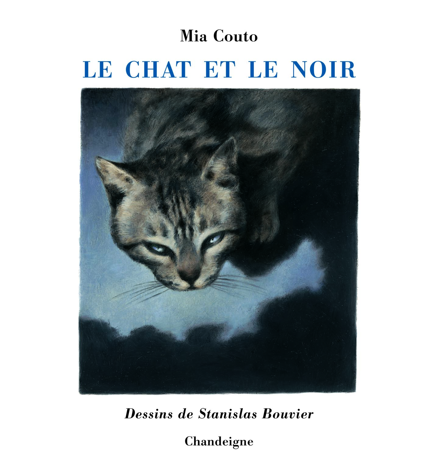 Couverture du Chat et le noir, de Mia Couto.